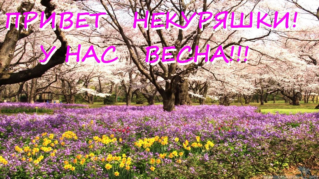 ПРИВЕТ 08 04.webp