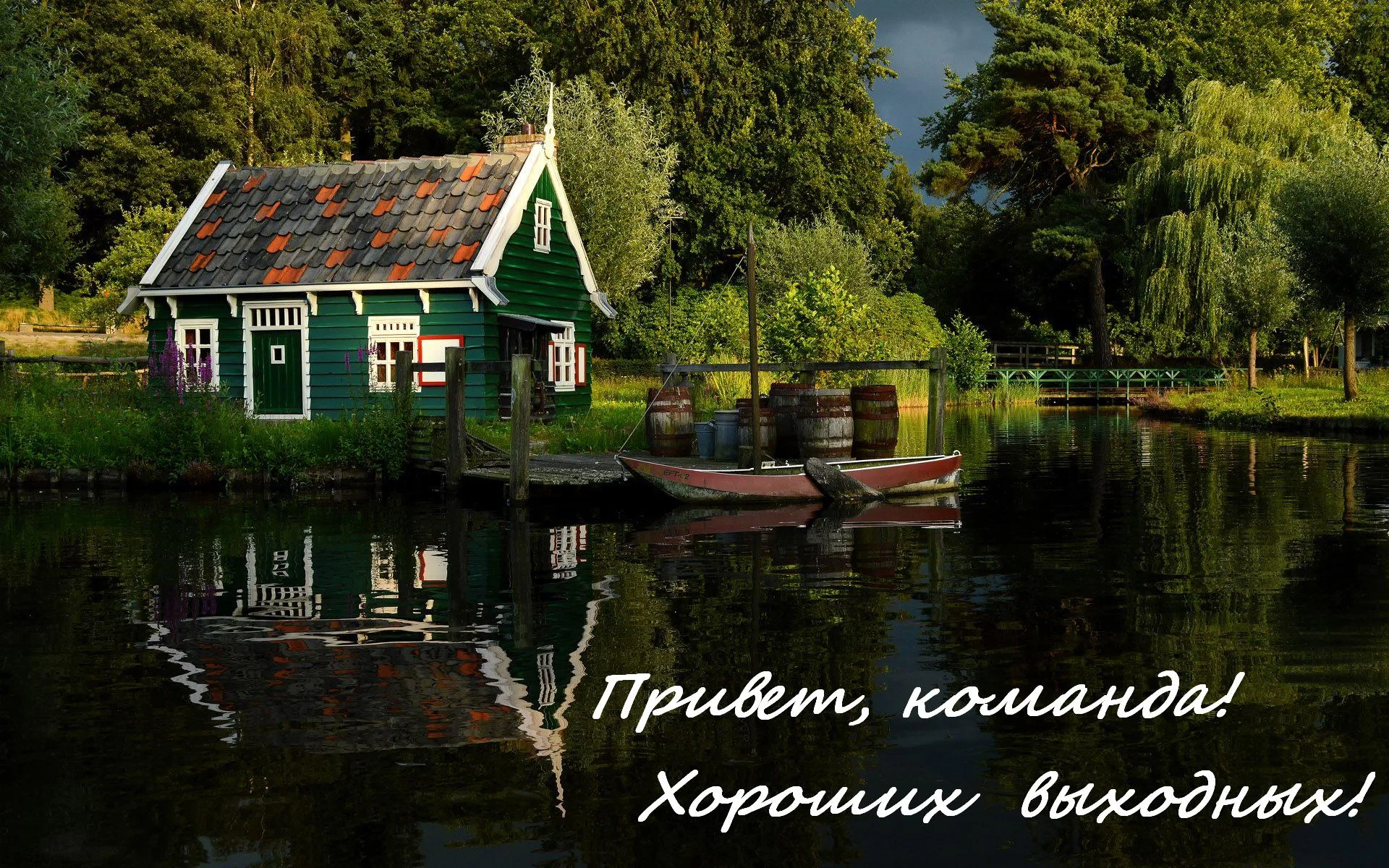 привет 3004.webp