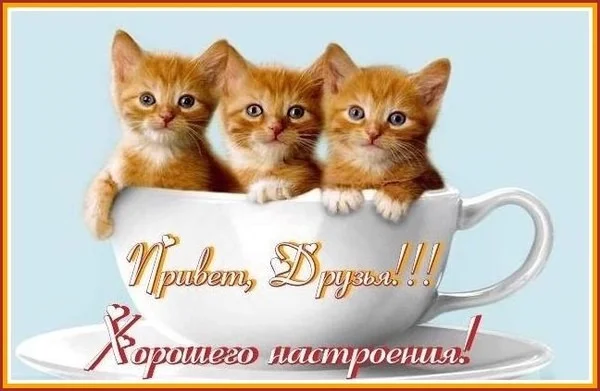 privet-druzya-xoroshego-nastroeniya.webp