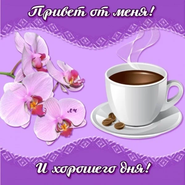 privet-ot-menya-i-xoroshego-dnya.webp