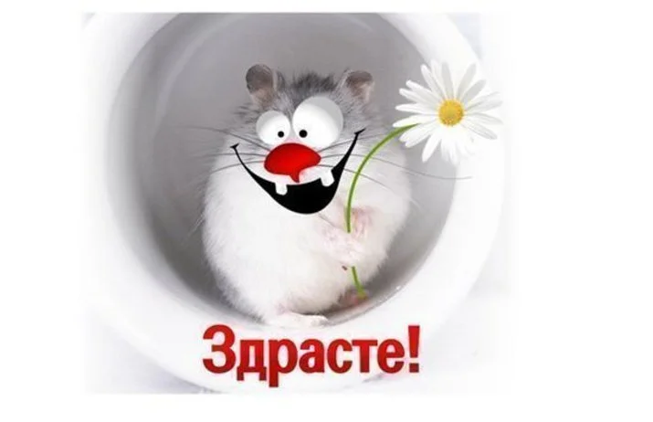 привет.webp