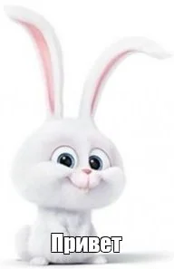 Привет.webp