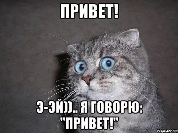 привет.webp