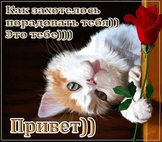 Privet_nasimke_ru.webp