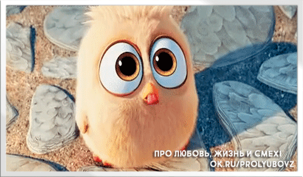 про любовь.gif