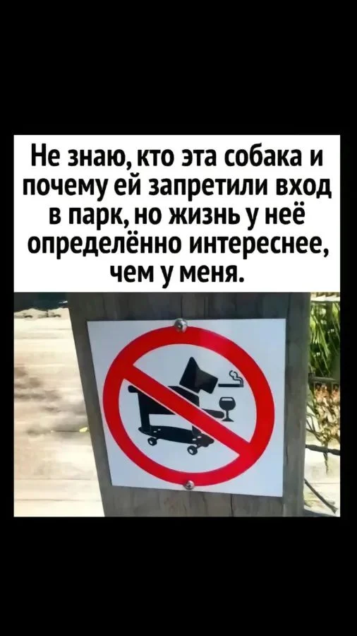 про собаку.webp