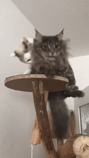 прочь провокаторов.gif