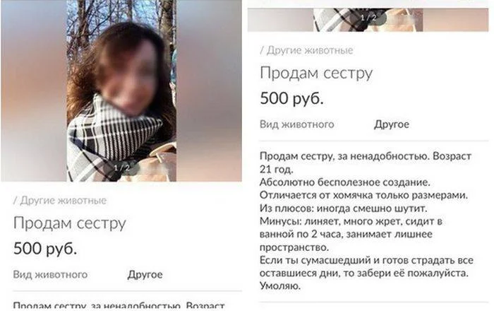 продам сестру.webp