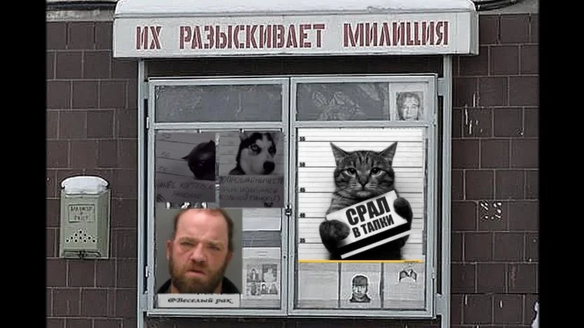 Проект 1 00-00-000.webp