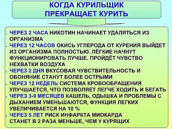 professor-neumyvakin-kak-brosit-kurit-60461-large.webp