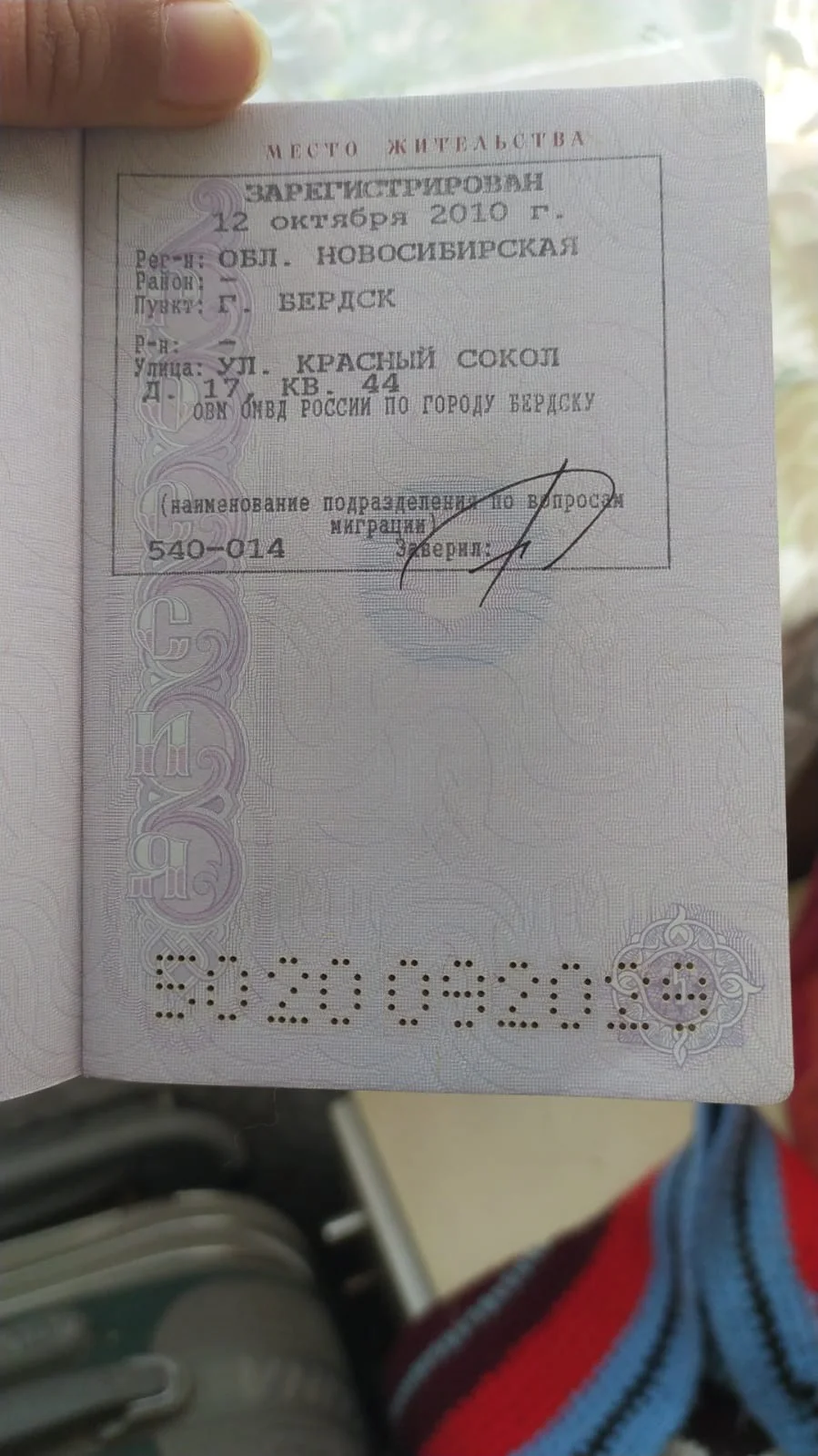 прописка быков.webp