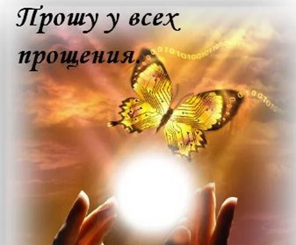 прошу-у-всех-прощения.webp