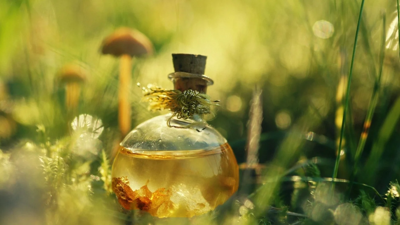 prosperity potion.webp