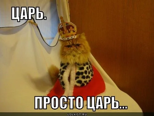 prosto-tsar_1344258915.webp
