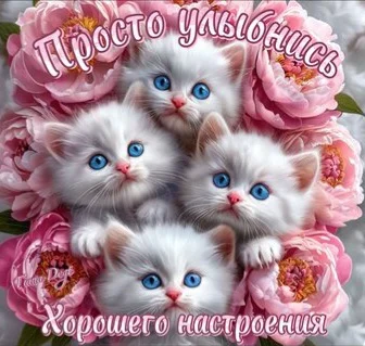 prosto-ulybnis-xoroshego-nastroeniya.webp