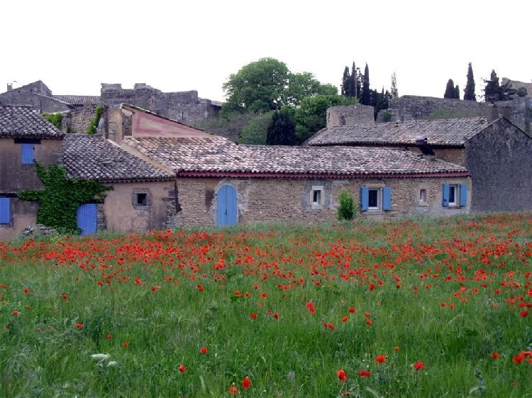 прованс 9.webp