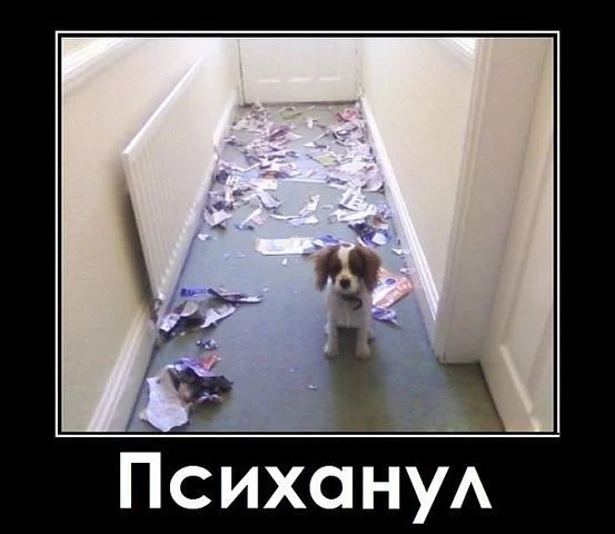 психанул.webp