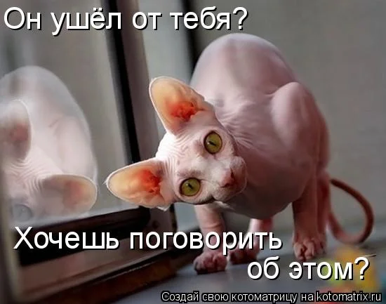 психиатр.webp