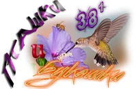 Пташки и букашки02.webp