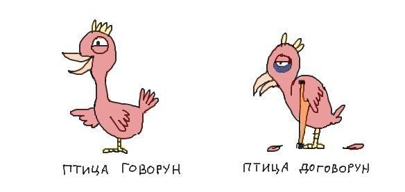 птица говорун.jpg