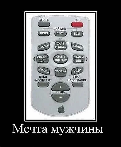 пульт - мечта мужчины.webp