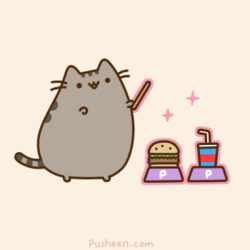 pusheen-cat-transmedia.gif
