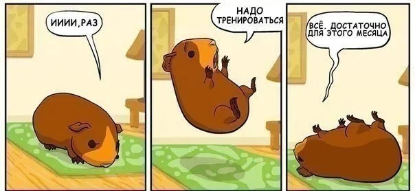 пушист.webp