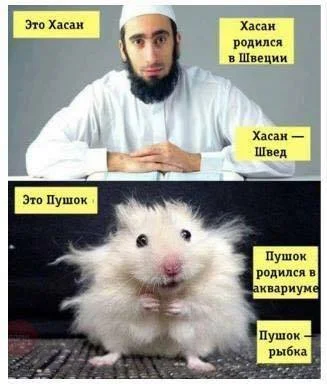 пушок рібка.webp