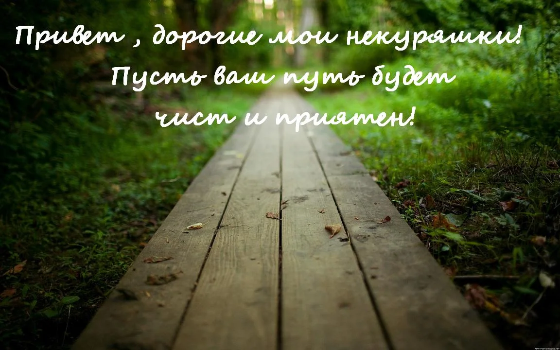 путь чист.webp