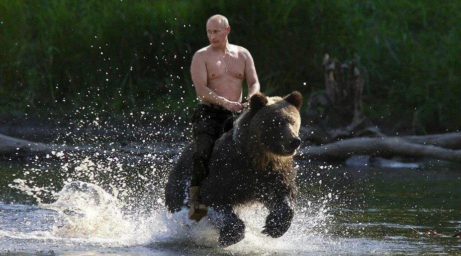 Putin-Bear.webp