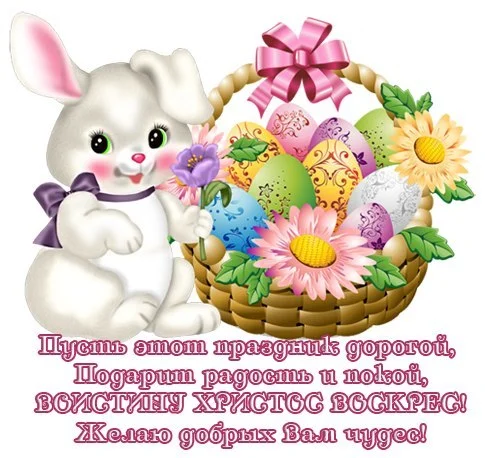 putvawpcxre.webp