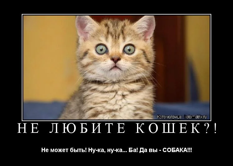 Q.webp