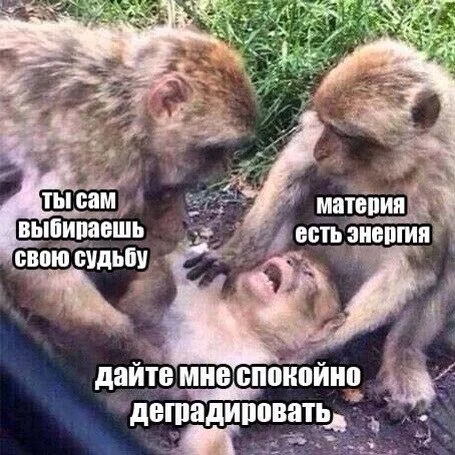 Q30cMHdDm-M.webp