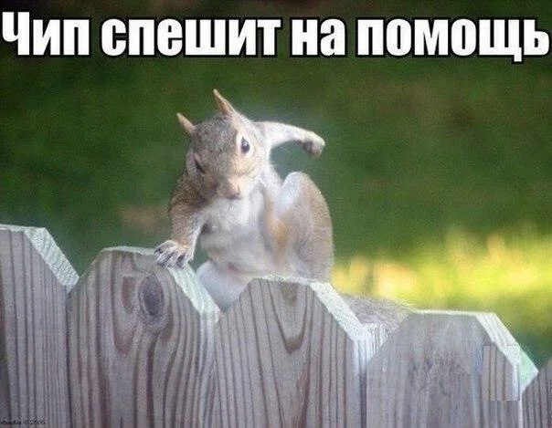 -qKT7UXJT64.webp