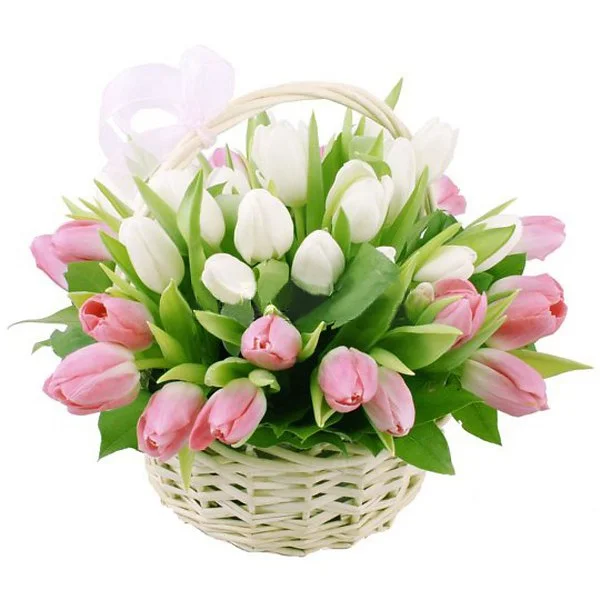 qqhApEfIfB0.webp