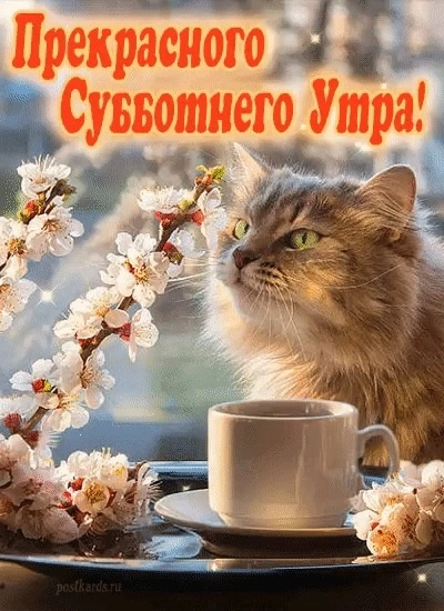qtqaR1DWa1o.webp