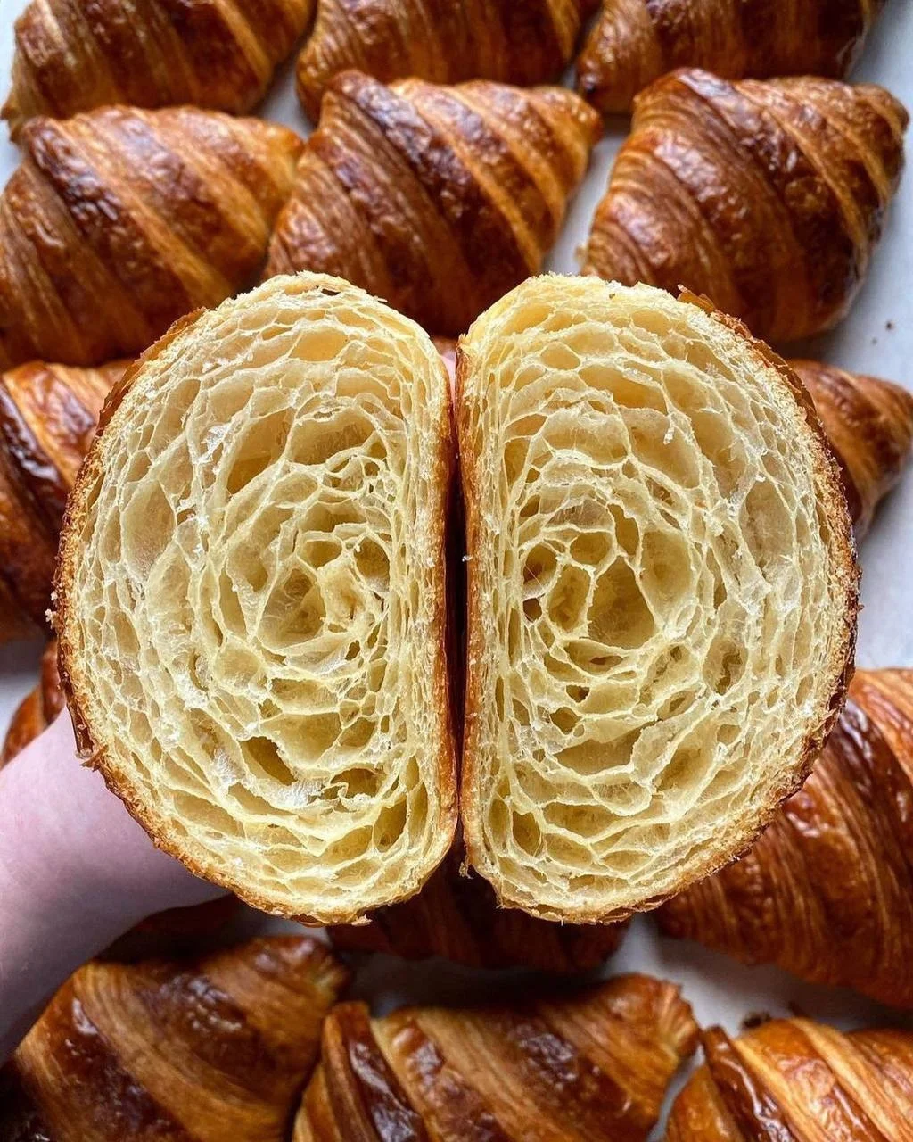 qZFL5GFyzSSgdswK334LgECiFlnsVQ_v980hPSlG68q4wViiDuj9dvO-uKqzFEJdZ4gYPOf0-yXFBq8Fl7b_ESPV (1).webp