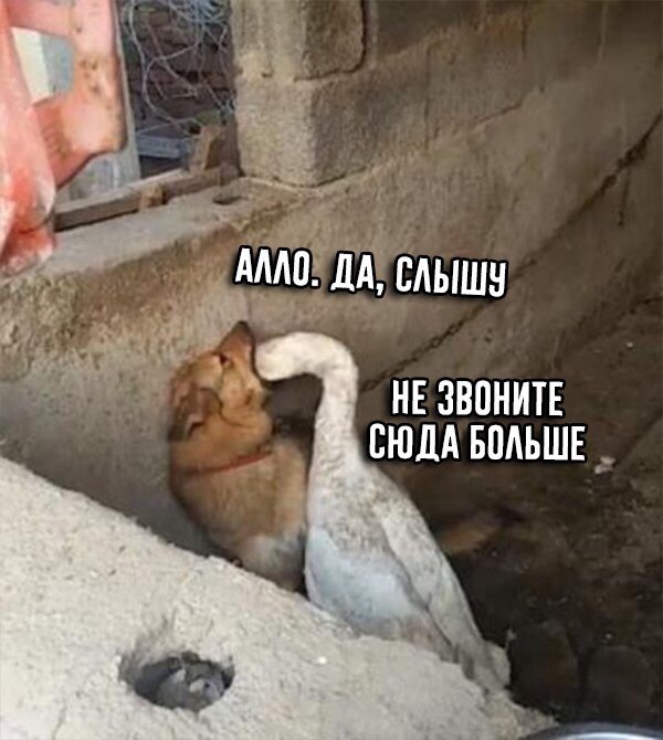 r3dwED-wEIk.jpg