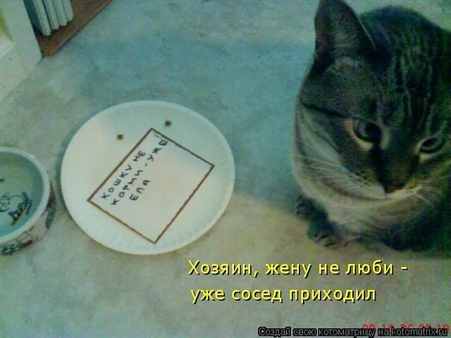 раб.webp
