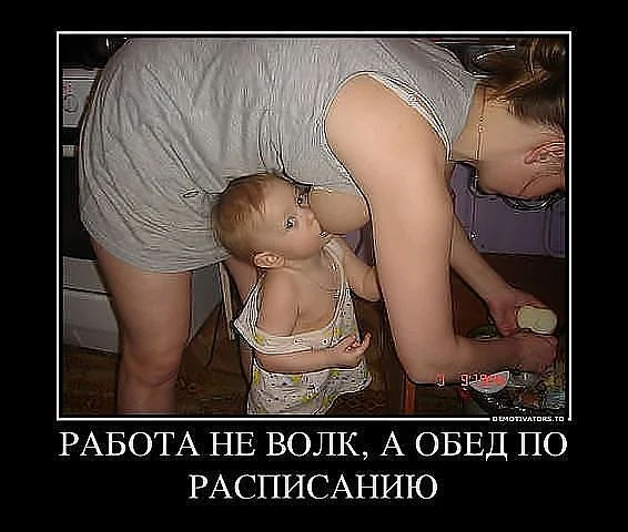 работа не волк а обед по расписанию.webp