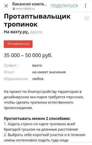 работка.webp