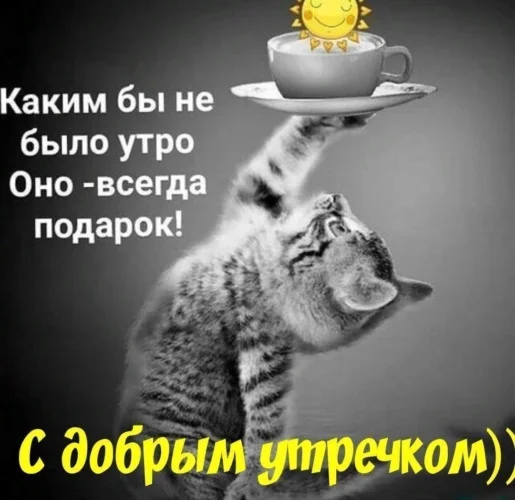 radostnogo-utra1-horoshego-dnya-supersolnishco.net_.webp