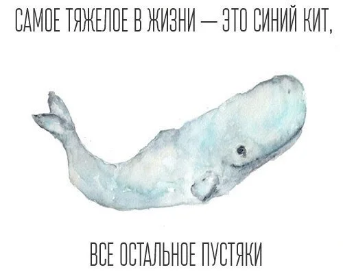 RAlxRGD43yI.webp