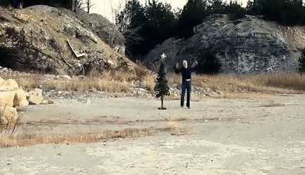 RapidTenderGermanshepherd-size_restricted.gif