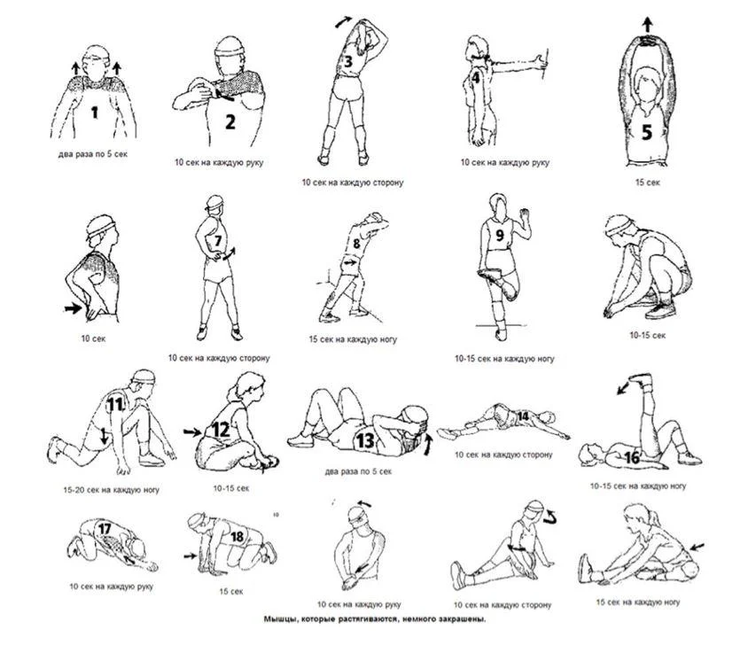 растяжка 2.webp