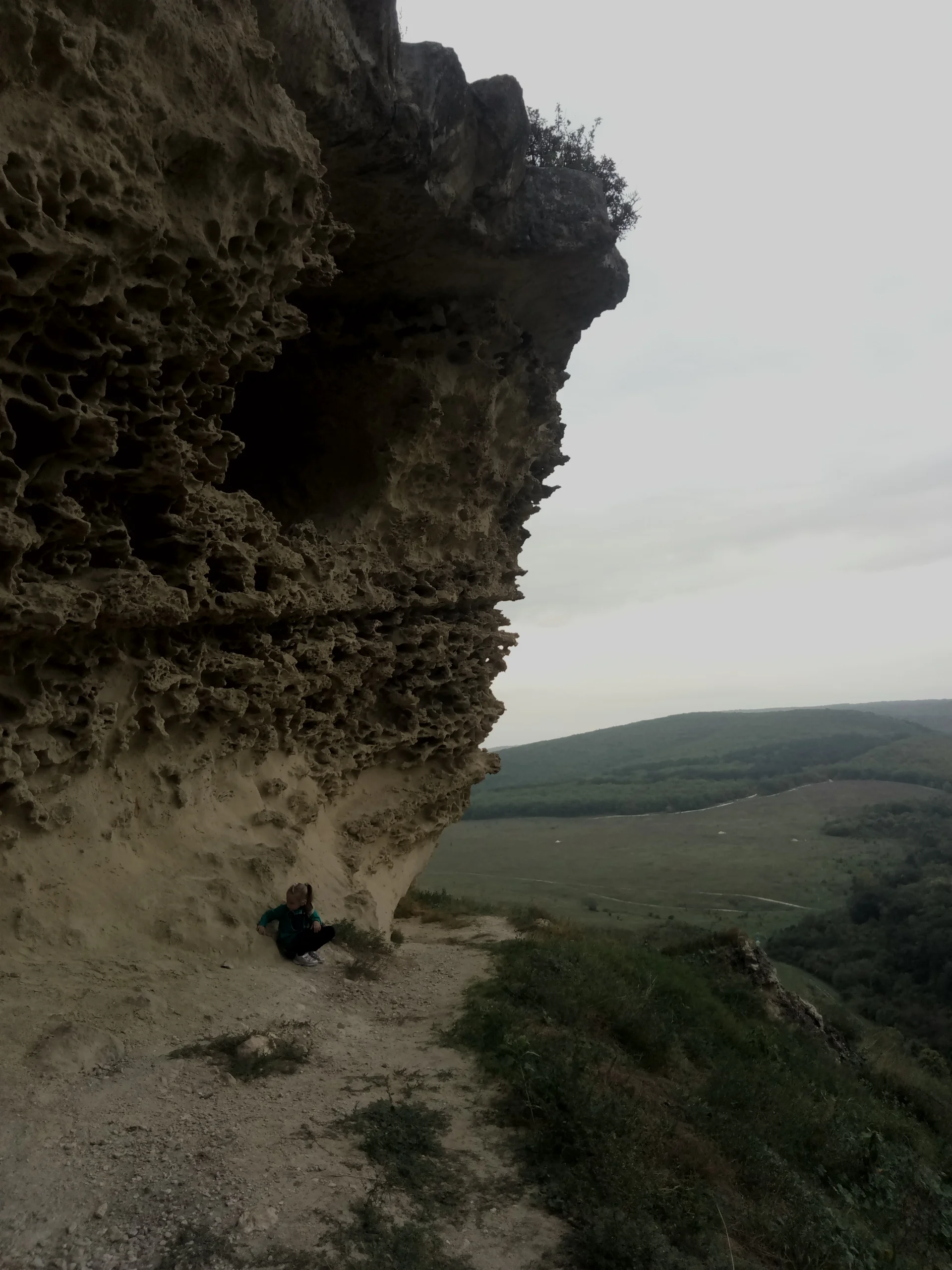 растофор конкурс.webp