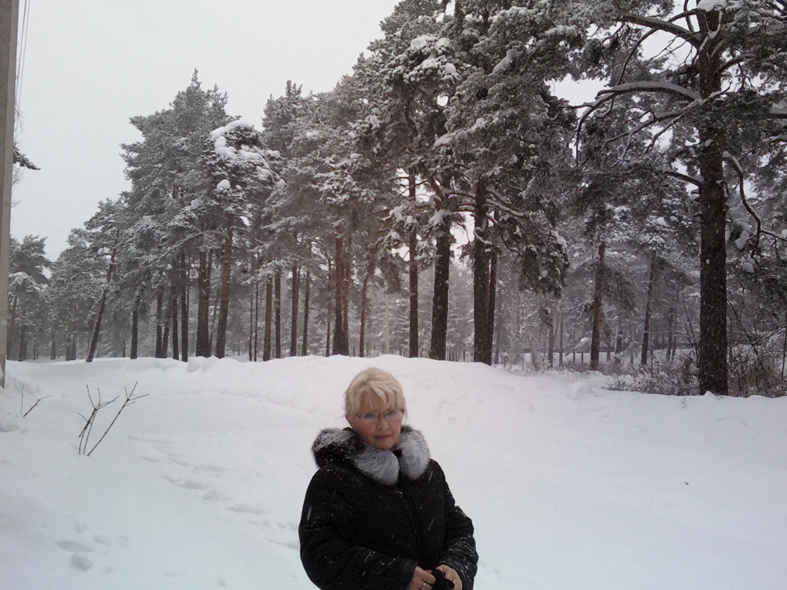 разные 100.webp