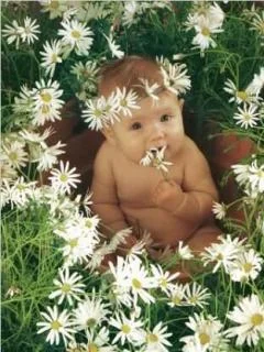 Ребенок в ромашках-1.webp