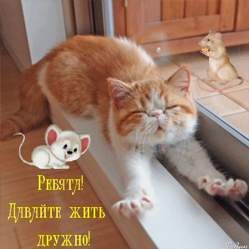 rebyata-davajte-zhit-druzhno.gif