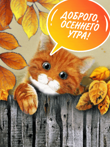 received_2992748761053431.gif